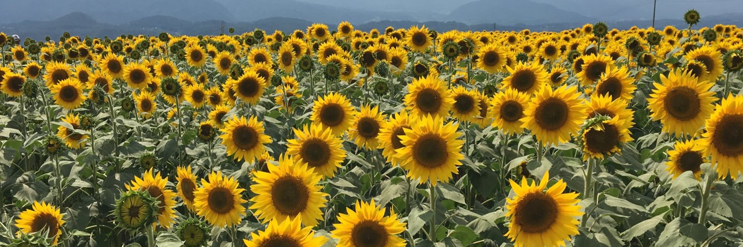 おやつカンパニーLIMITED banner