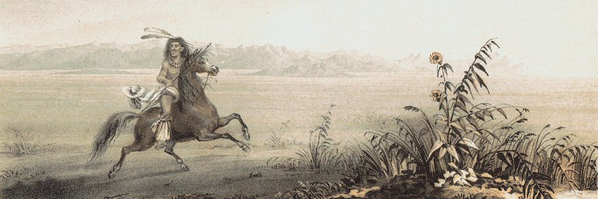 patrickgduffy's profile banner image