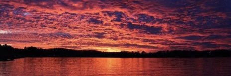 ClemsonRecycles's profile banner image