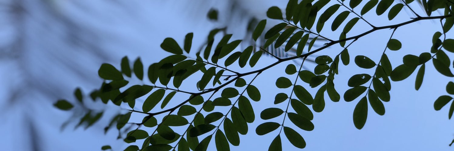 Zaidhu_'s profile banner image