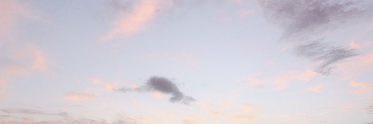 UScreamItOut's profile banner image