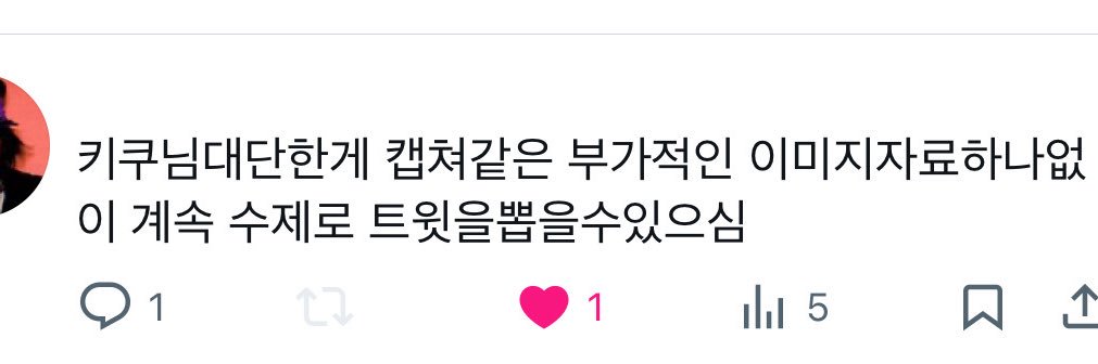 키쿠 banner