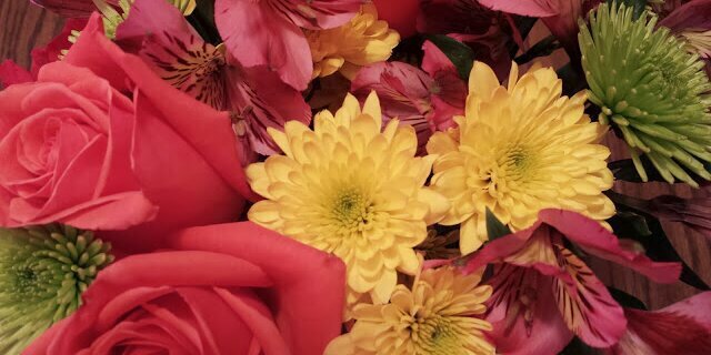 Whitney Malick banner