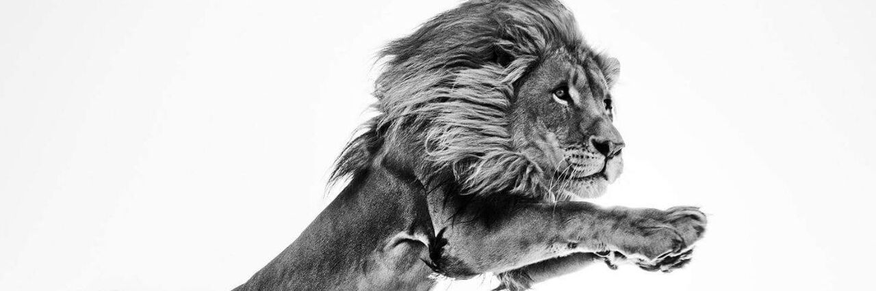 Rons_iRaheta's profile banner image