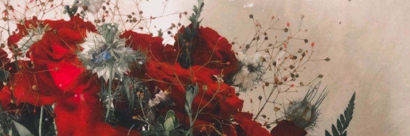 helohawer's profile banner image