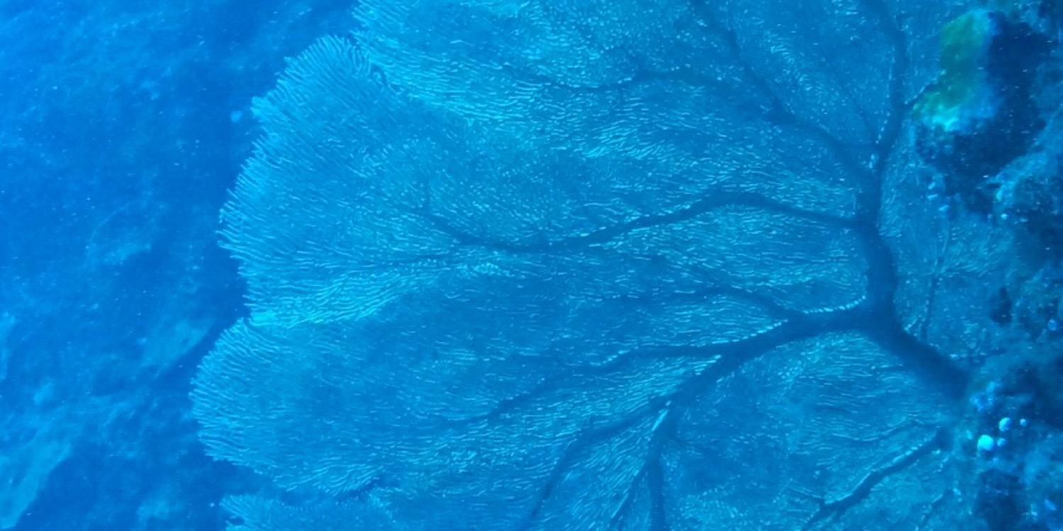 CLindholm's profile banner image