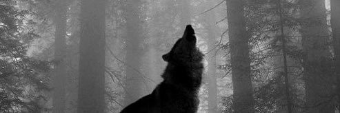 hfiyaka's profile banner image