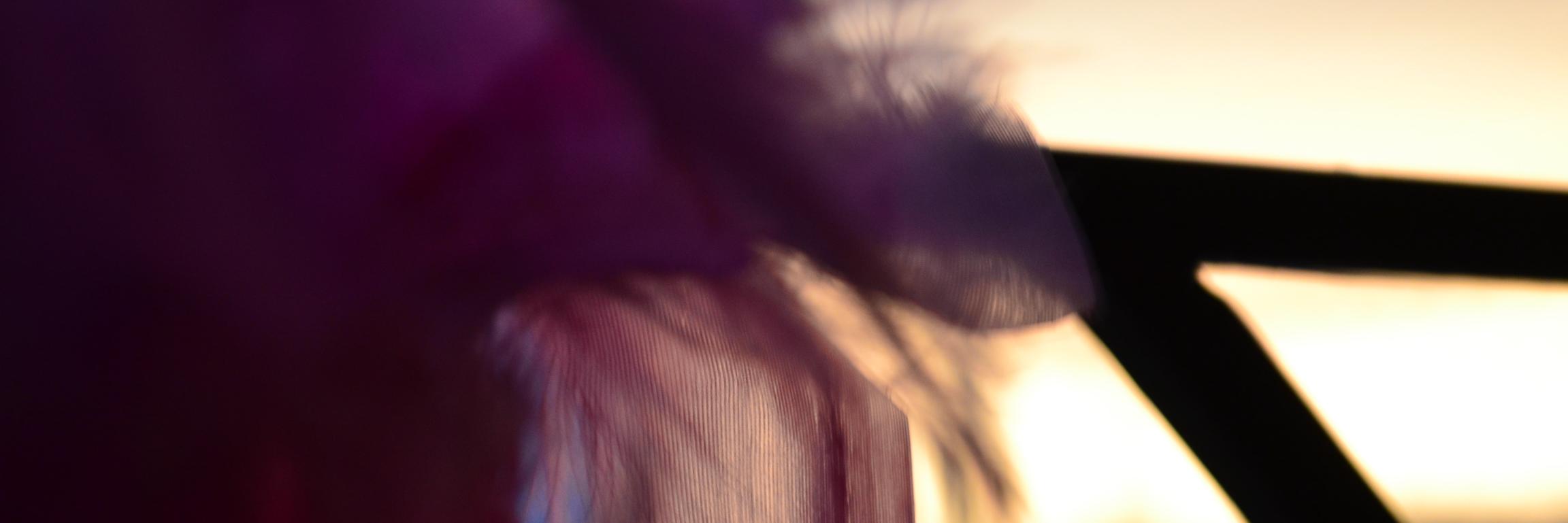 YassinRadilla's profile banner image