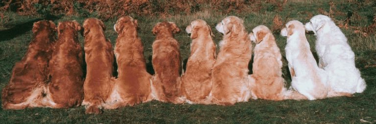___hunnibee's profile banner image