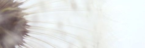 heatherdeBruin's profile banner image
