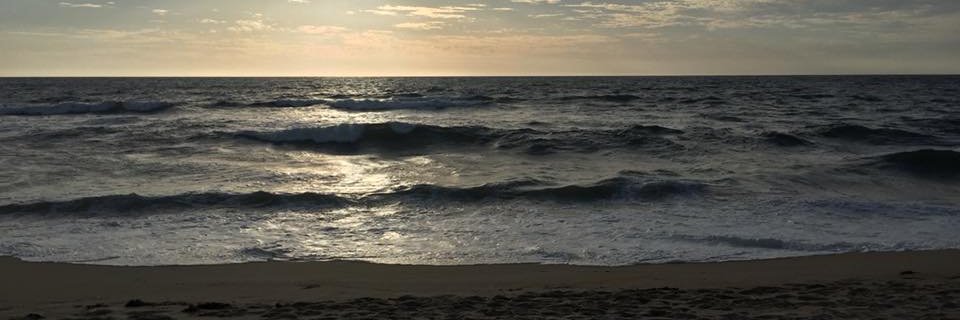 softeyes's profile banner image