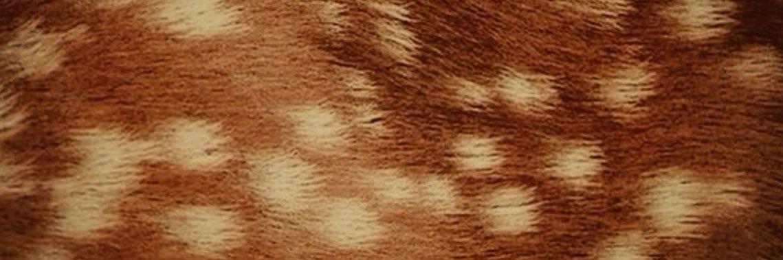beonlyhis's profile banner image