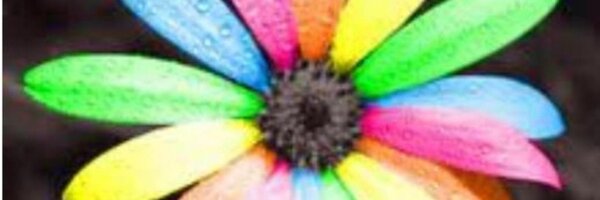 bobobree12 Profile Banner