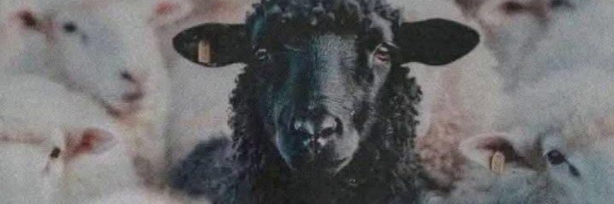 É O HAAIDDENNN banner