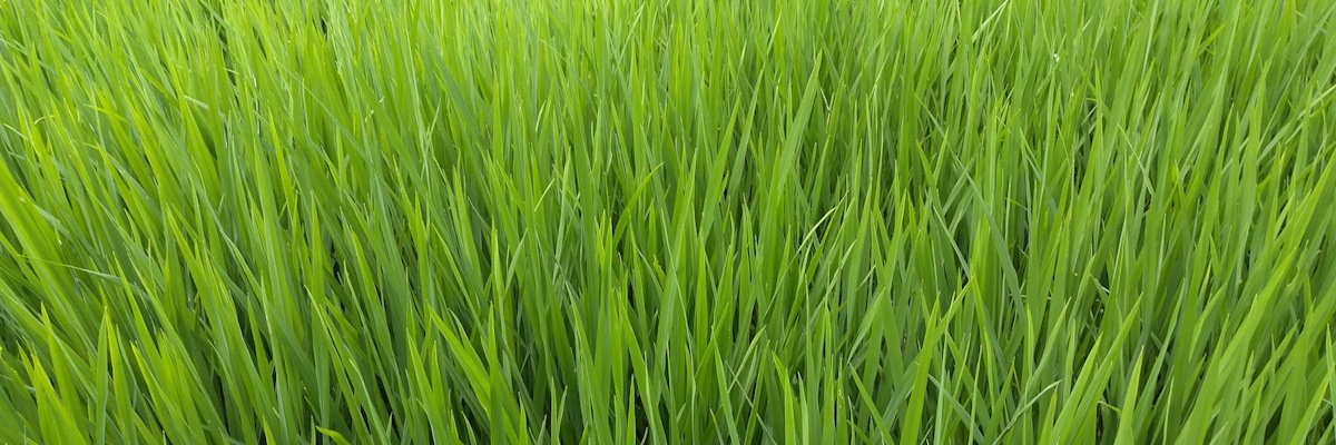 unillaN's profile banner image