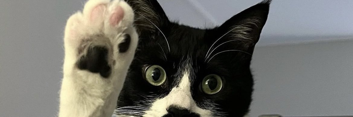 Eatanamae's profile banner image