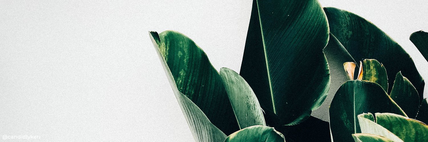 luzAraoz's profile banner image