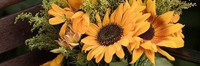 han_moh_'s profile banner image