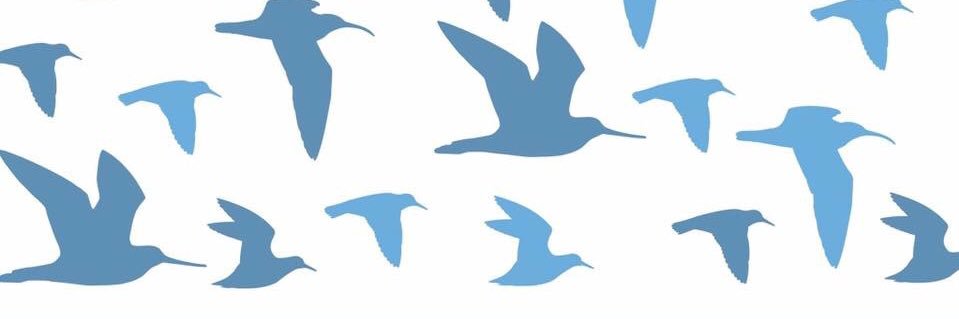 Aves Playeras banner