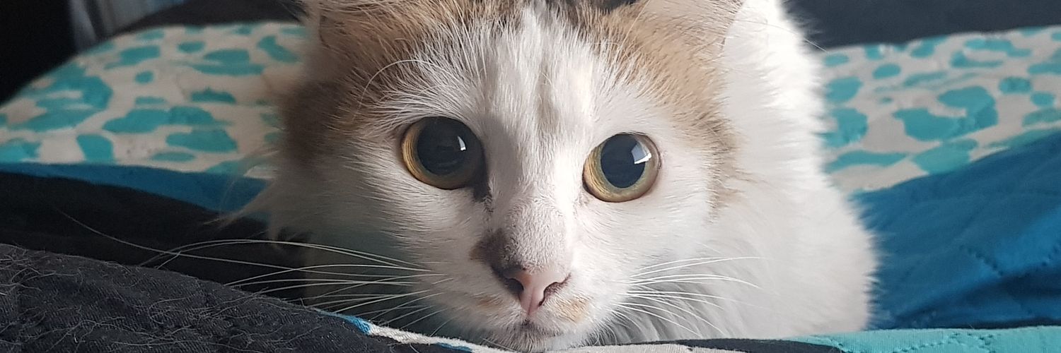 Josegafo's profile banner image
