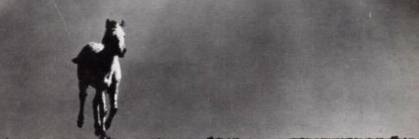 PierreScoub Profile Banner