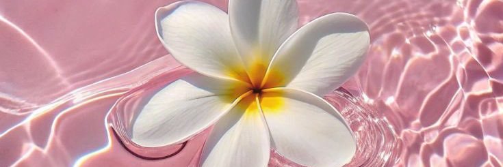 9Ghena's profile banner image
