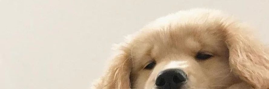 oil_patcharlie's profile banner image