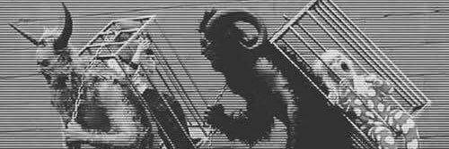 MoyRamGa's profile banner image