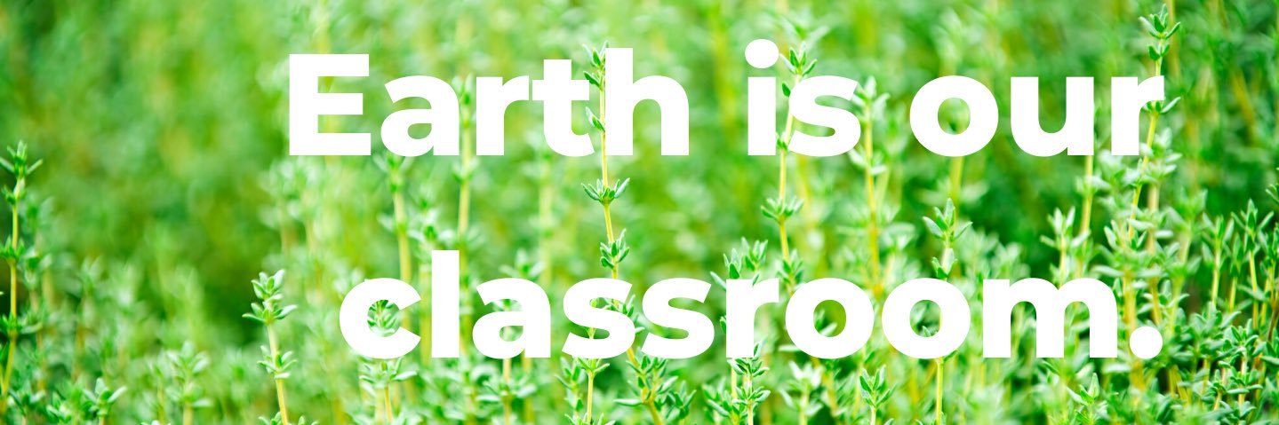 @coach_franny banner