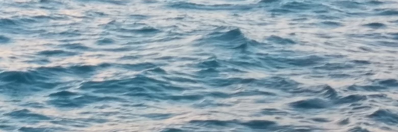 aaniwills's profile banner image