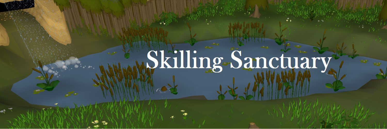 Chinchompin's profile banner image