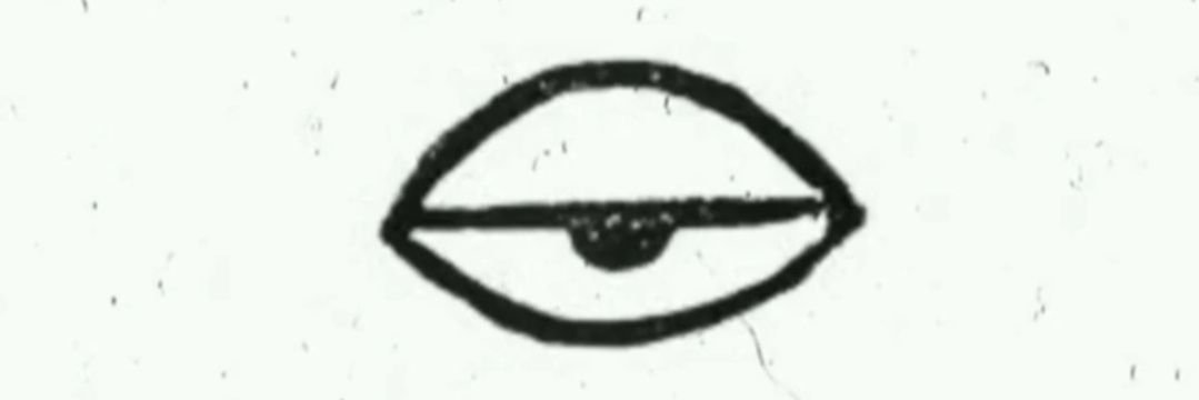 anarociopt's profile banner image