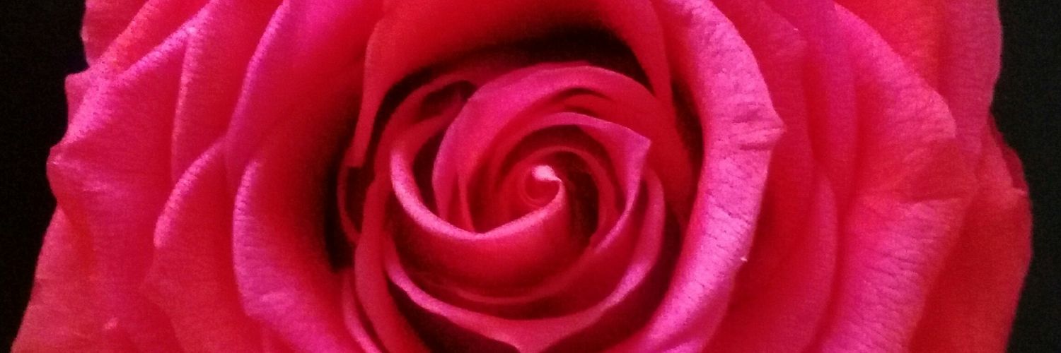 Imflowerscol's profile banner image