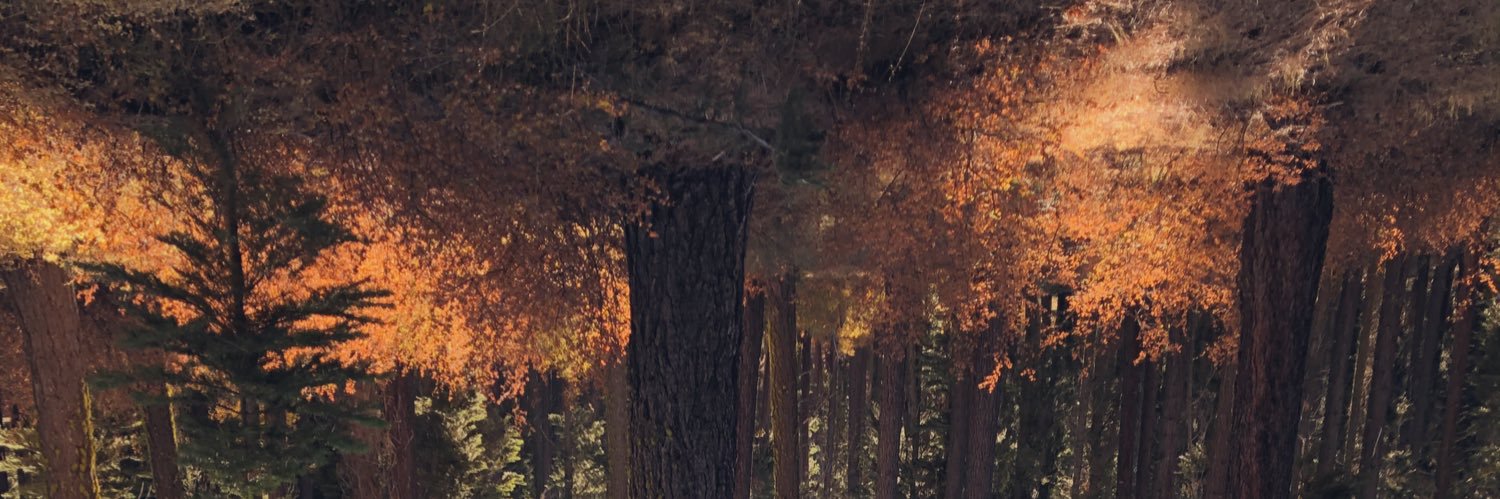 jonohito's profile banner image