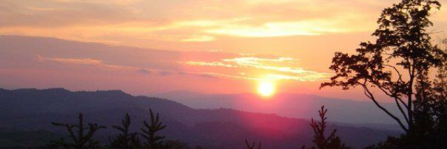 HatchingIdeas's profile banner image