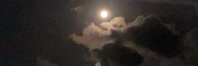 fucked up looking boy banner