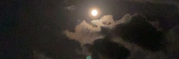 jizzinspector Profile Banner
