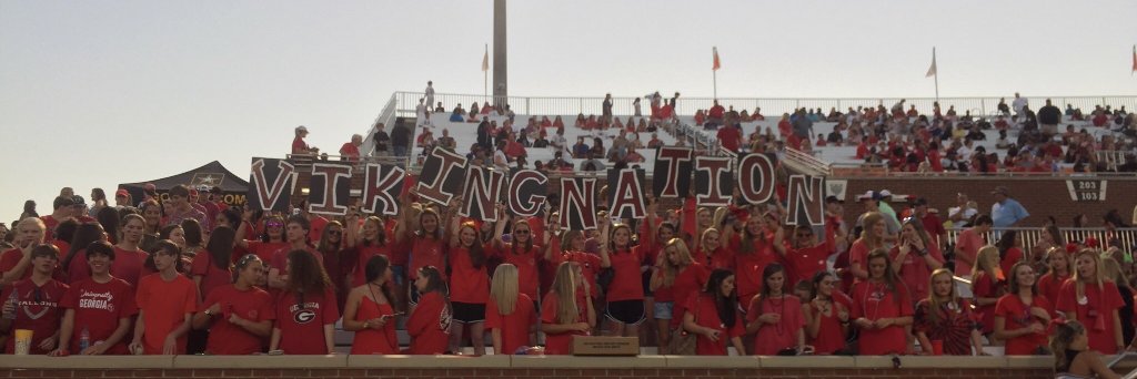 FPD Viking Sports's banner