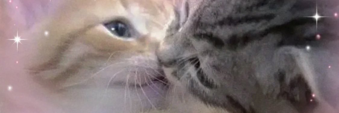 Zhana 🐈‍⬛🖤 Ten is finally FREE banner