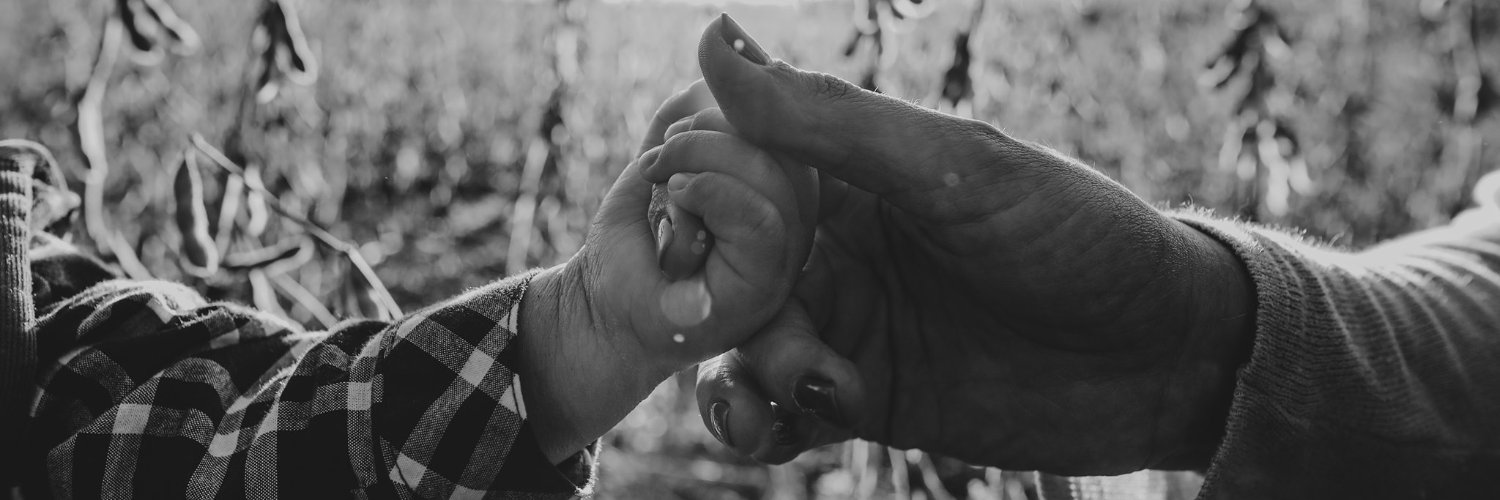 Sarah Kidd-Romero banner