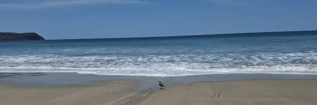 PlayayPaz's profile banner image