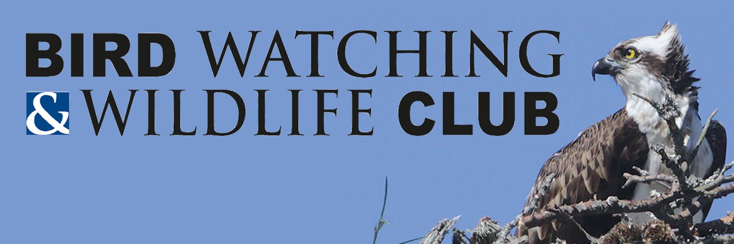 BWWC1's profile banner image