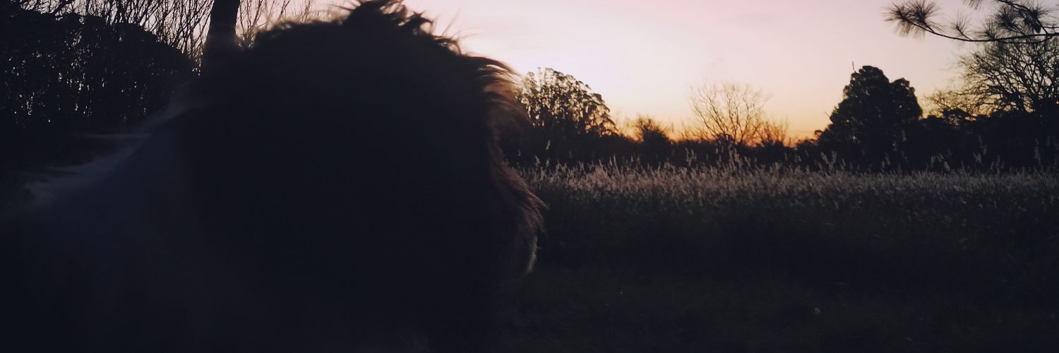 keiwilsonn's profile banner image