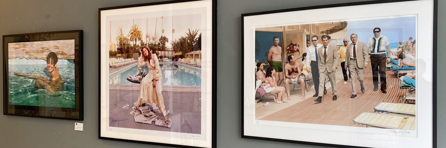 Box Galleries banner