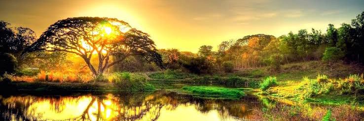 H I T O banner