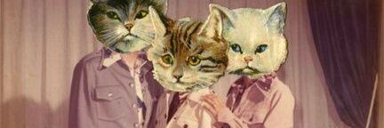 mequejodtod's profile banner image