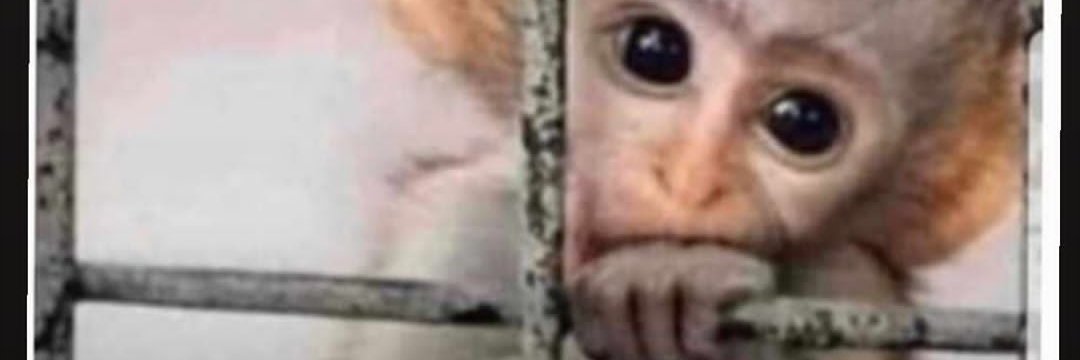 Seebo94's profile banner image