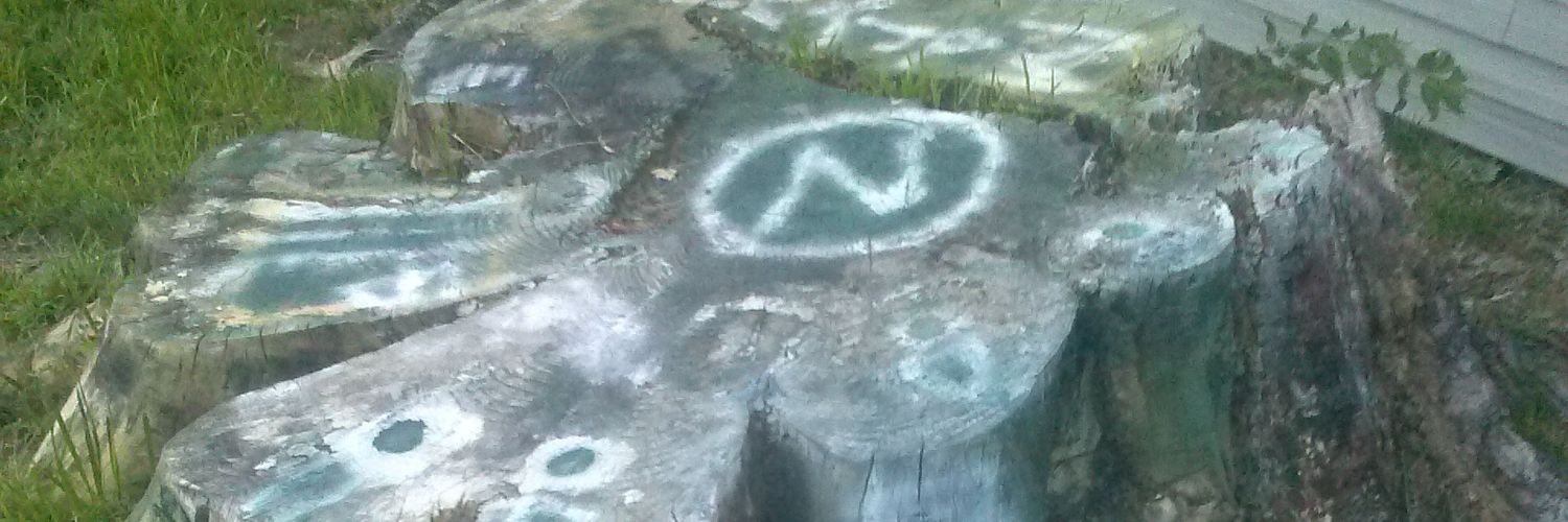 parkgar123's profile banner image