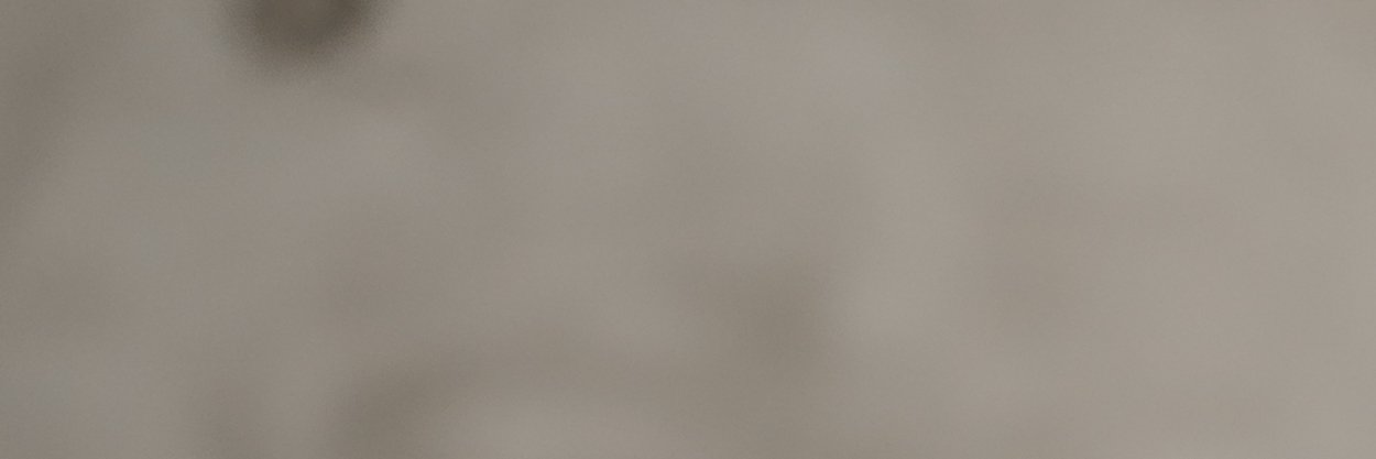 SergiuNegara's profile banner image