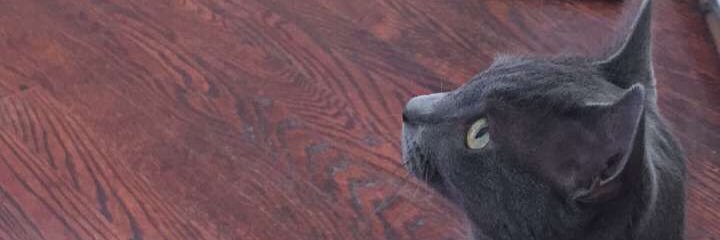 pkford2's profile banner image
